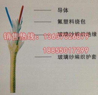 氟塑料絕緣耐高溫控制電纜