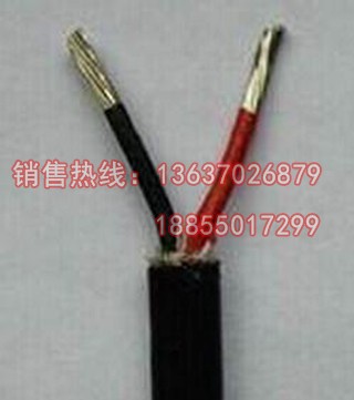 ZRC-KX-YP2VP2熱電偶補償導(dǎo)線