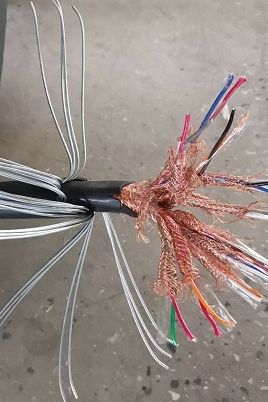 低煙無鹵計(jì)算機(jī)電纜WDZ-DJYPV32 WDZ-DJYVP32